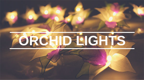 Orchid LED Fairy Lights