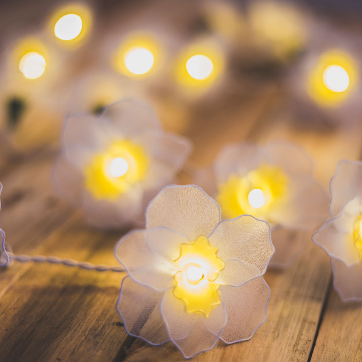 White Daffodil Fairy Lights