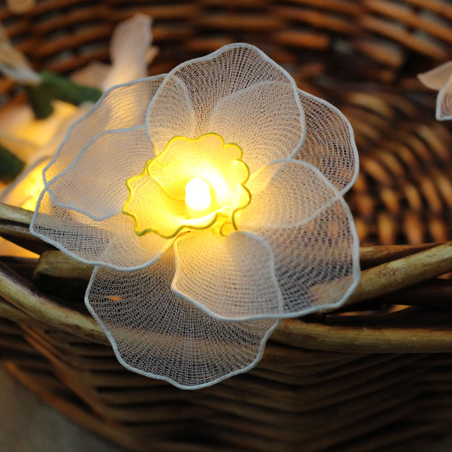 Daffodil Battery Operated LED Fairy Lights