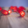 Red Tulip LED Fairy Lights